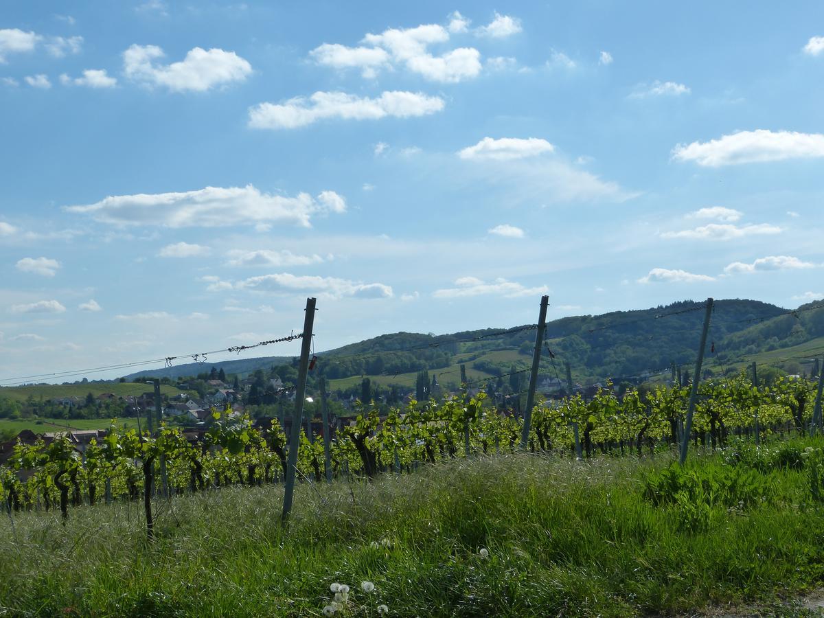 Gaestehaus Annel Niederhorbach エクステリア 写真