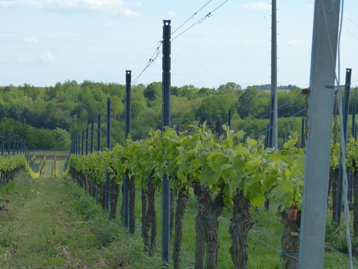 Gaestehaus Annel Niederhorbach エクステリア 写真