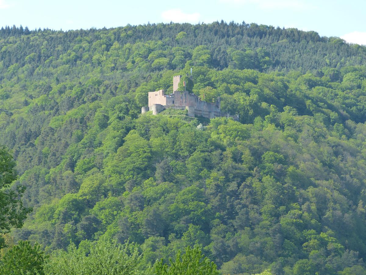 Gaestehaus Annel Niederhorbach エクステリア 写真